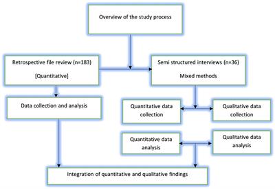 Physical and mental illness comorbidity among individuals with frequent self-harm episodes: A mixed-methods study